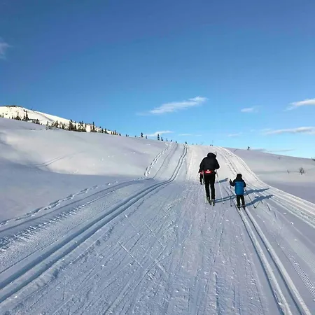 Nyaraló By Selbusjoen With And Trail Access *